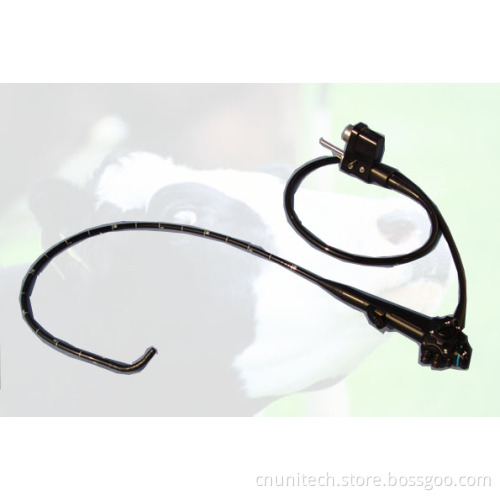 Vet Endoscope Unt-9630